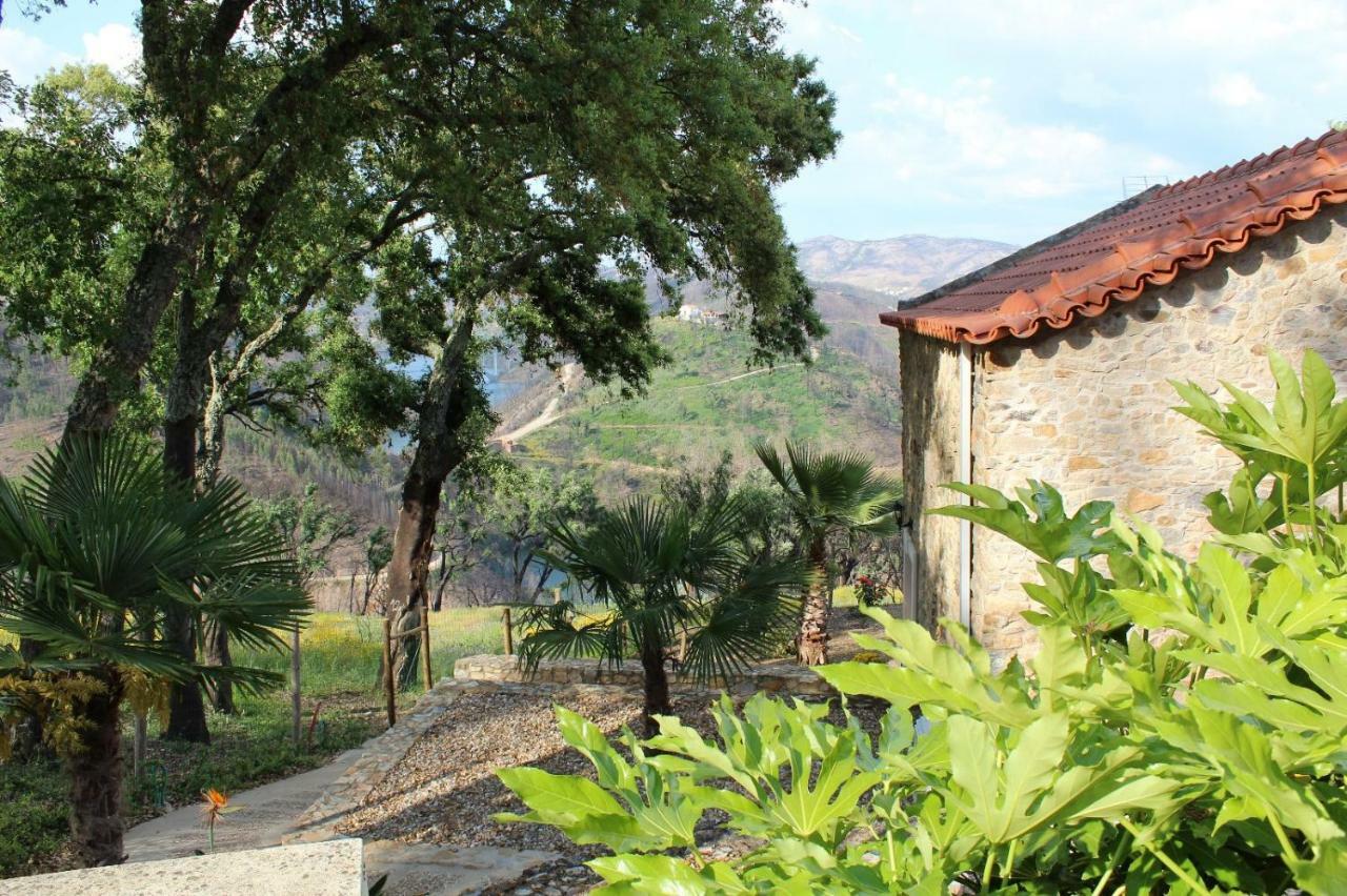 Oak Cottage Ferreira do Zêzere Zewnętrze zdjęcie